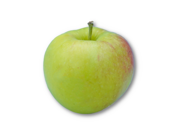 Apfel Cybele