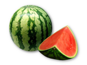 Wassermelone mini