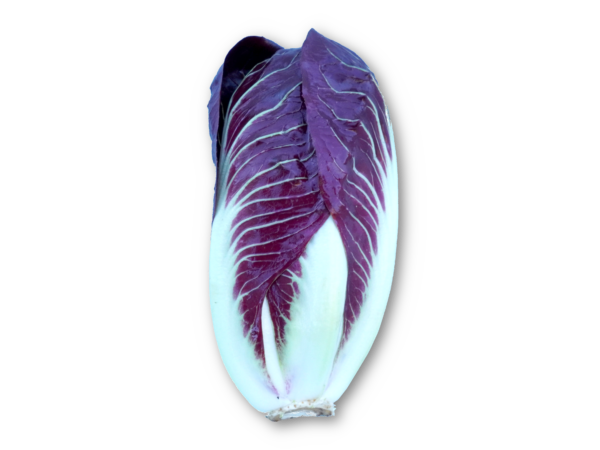 Radicchio lang
