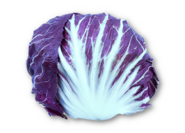 Radicchio rund
