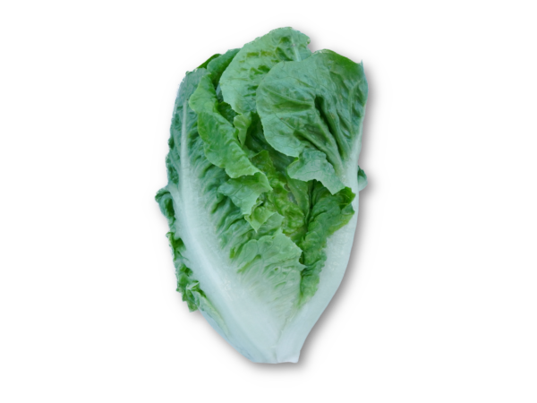Romana-Salat