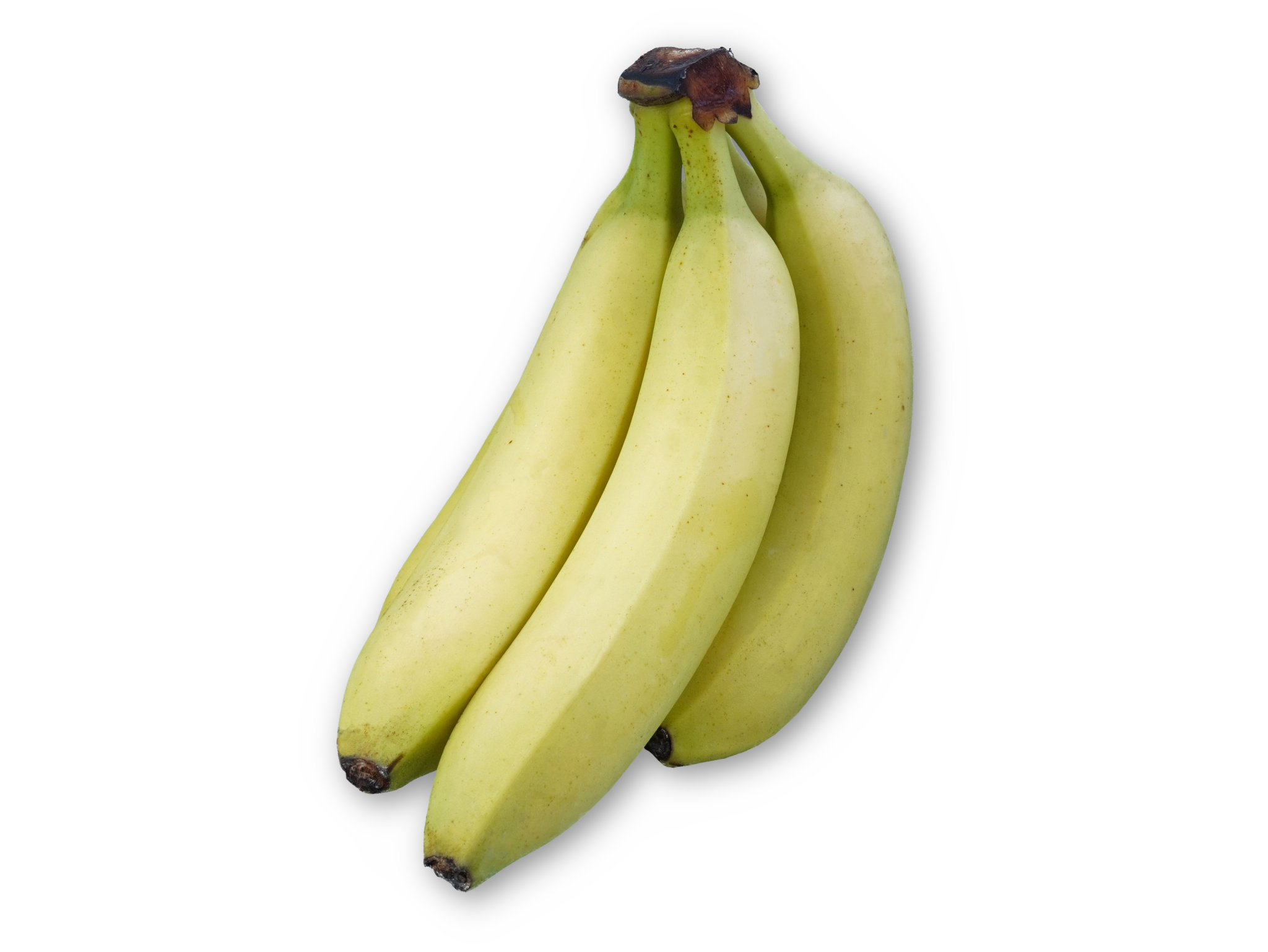 Bananen – Hauser Biokiste