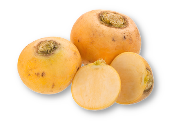 Mairübchen