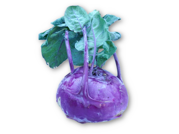 Kohlrabi rot