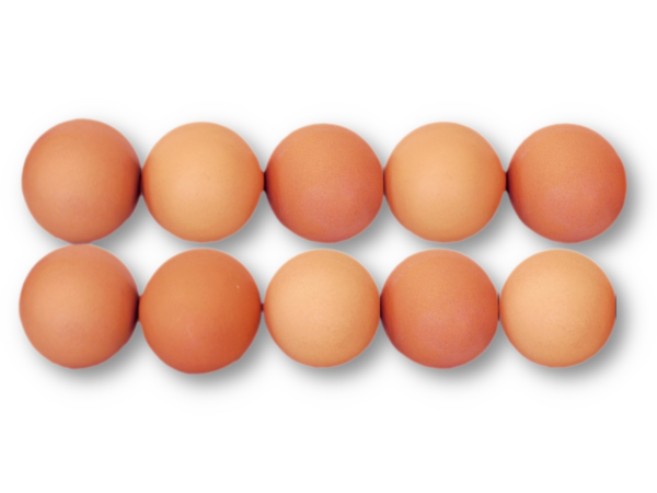 10er-Eier