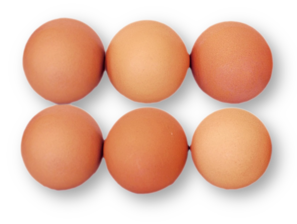 6er-Eier