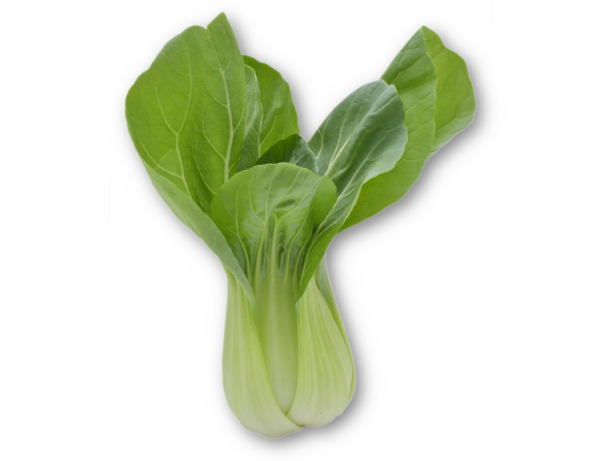 Pak-Choi