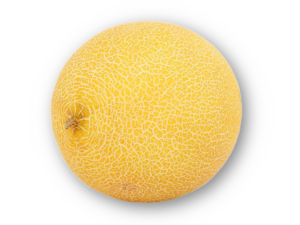Honigmelone Galia