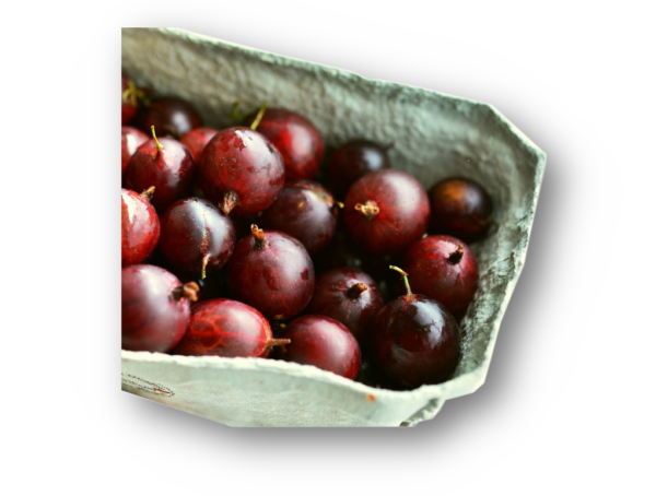 Stachelbeeren 250gr